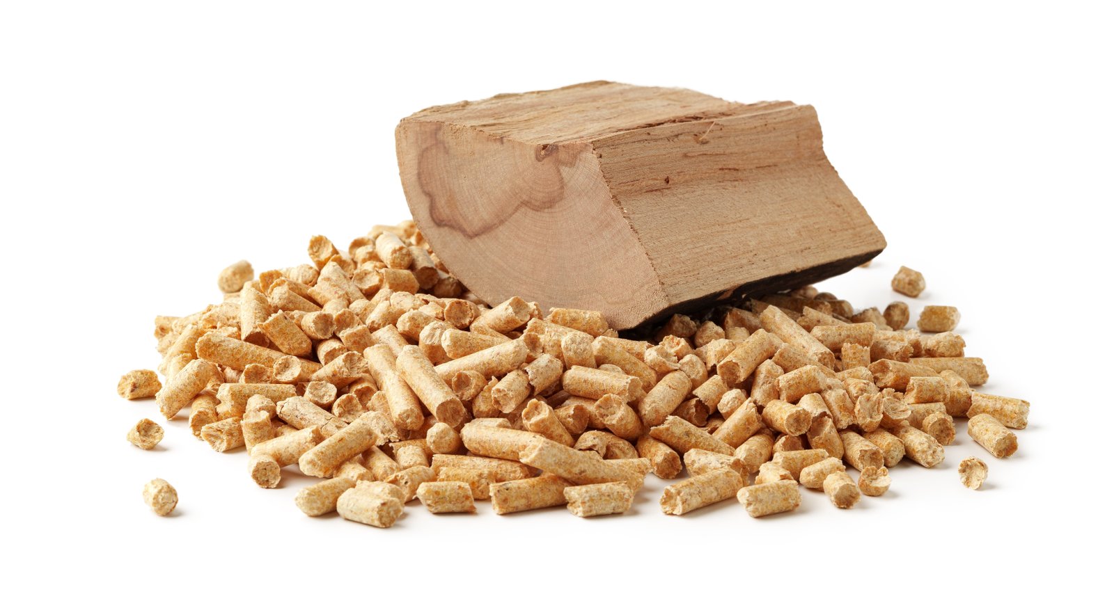 Bio Briquettes Production